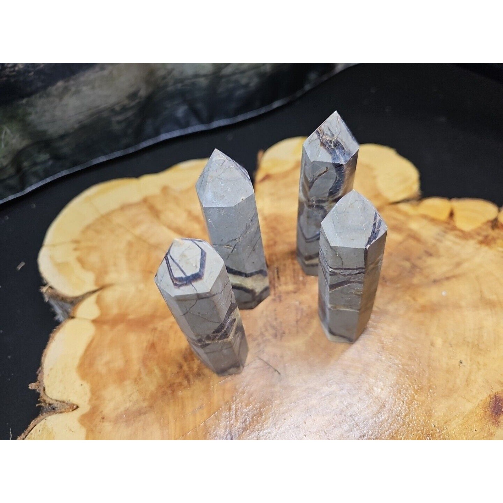 Dragon Septarian Geode Cluster Set — 1 lb, 4 Pieces from Madagascar | CrystalCloud Company