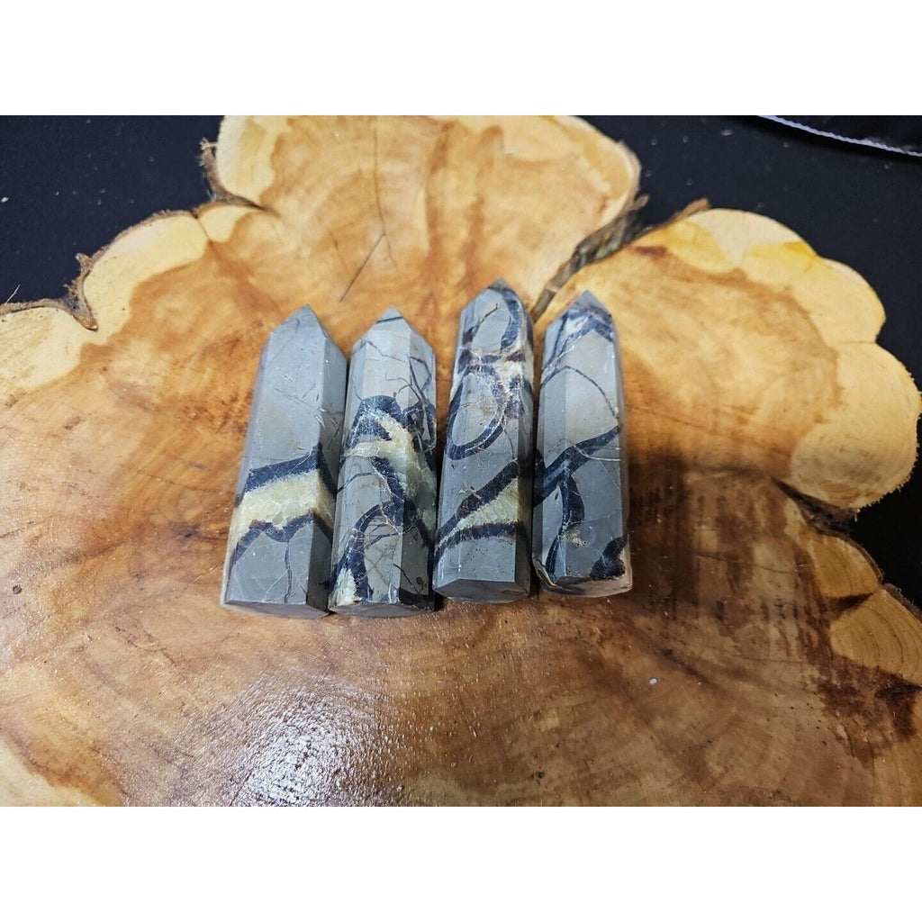 Dragon Septarian Geode Cluster Set — 1 lb, 4 Pieces from Madagascar | CrystalCloud Company
