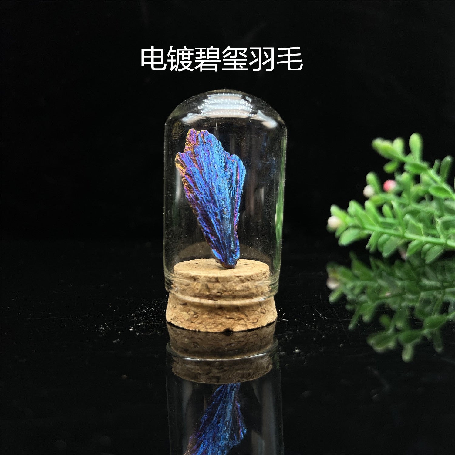 36-Piece Natural Mineral & Crystal Rock Collection