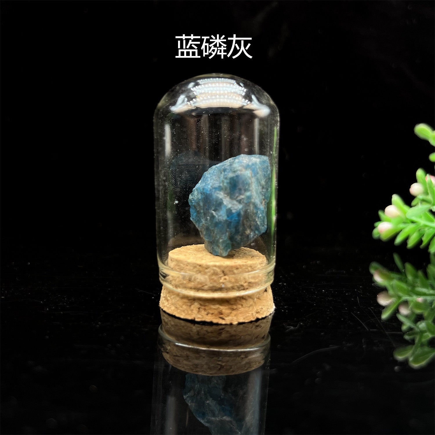 36-Piece Natural Mineral & Crystal Rock Collection