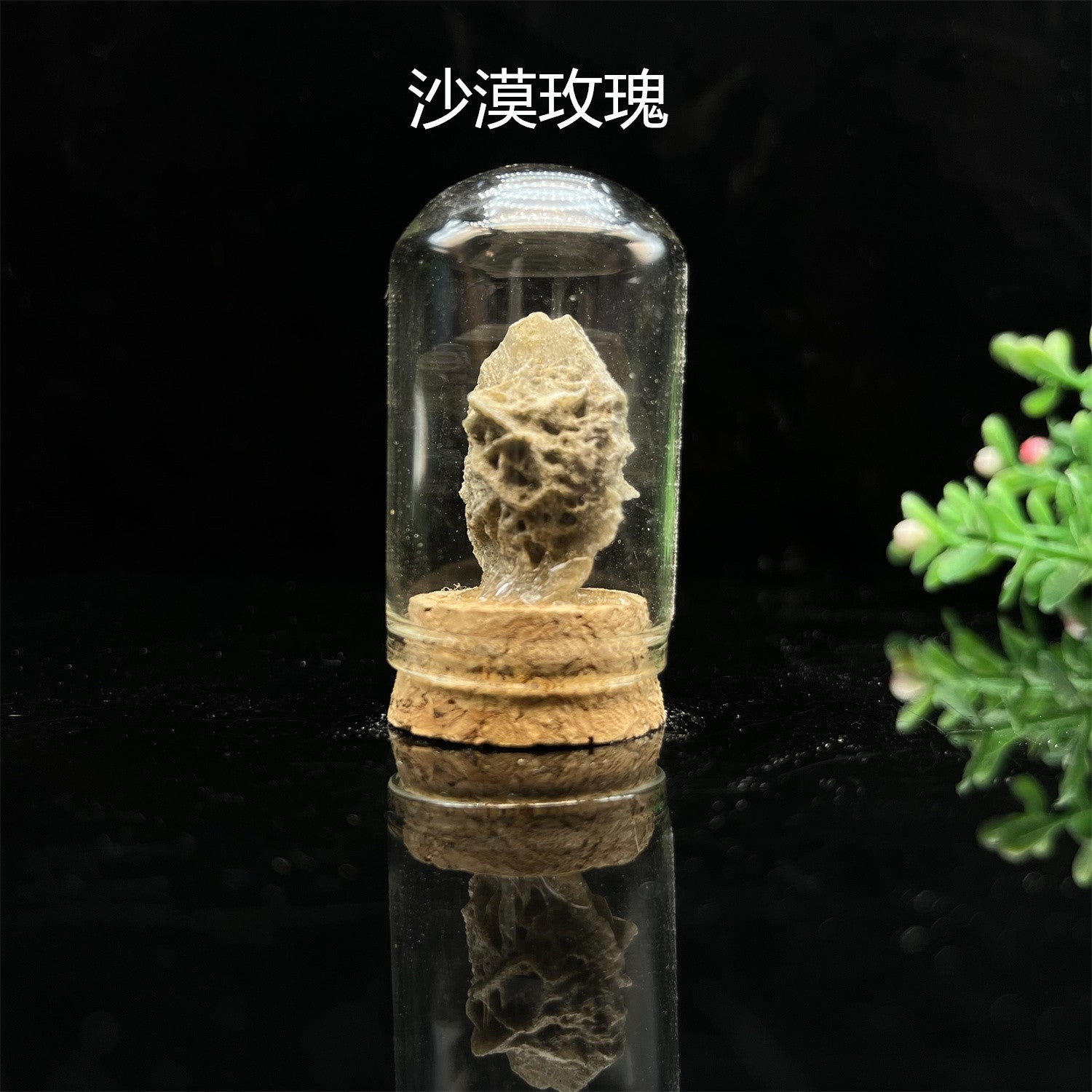 36-Piece Natural Mineral & Crystal Rock Collection