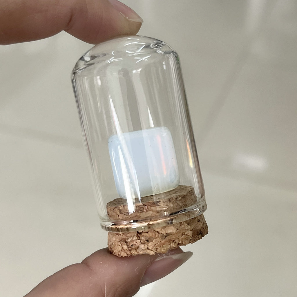 Starter Crystal & Mineral Collection (36 Pieces)