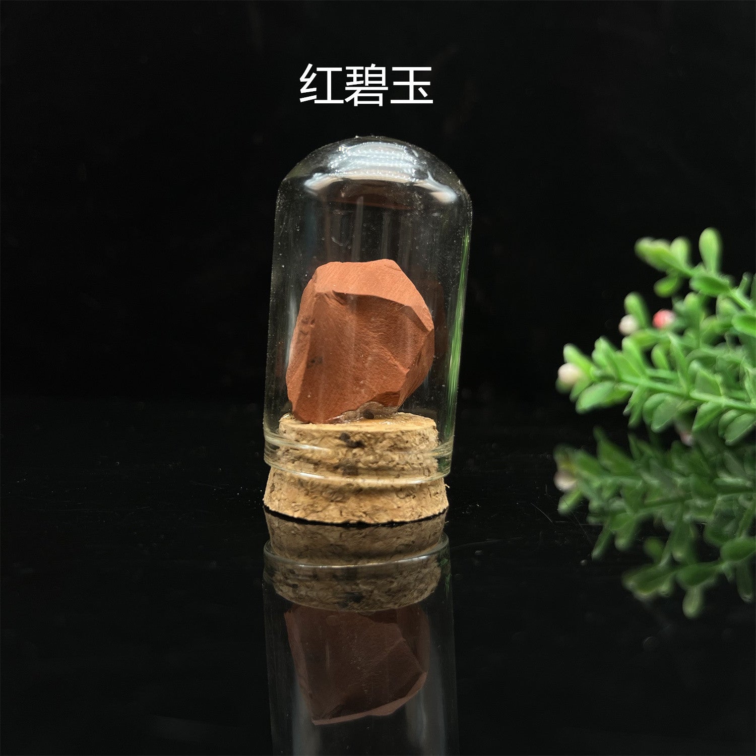 36-Piece Natural Mineral & Crystal Rock Collection