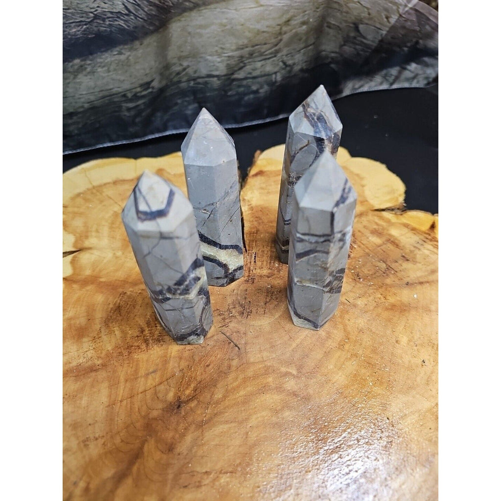 Dragon Septarian Geode Cluster Set — 1 lb, 4 Pieces from Madagascar | CrystalCloud Company